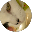 Kendra Hill profile photo