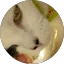 Kendra Hill profile photo